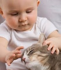 ребенок и кот