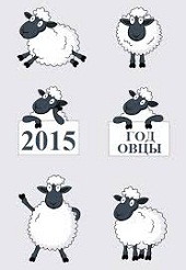 2015 год овцы